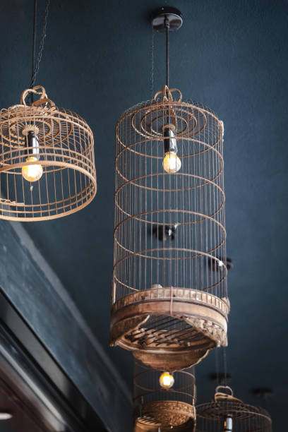 istock lamp as decoration in a bird cage 1565677916