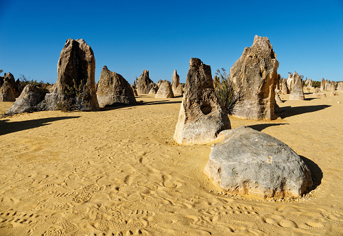 Pinnacles Desert in Nambung National Park, Western Australia, landscape scenery from the desert area with the rocky standing stones in Shire of Dandaragan.