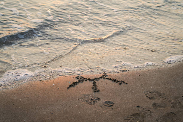 istock Sun emoticon on beach sand 1565721558