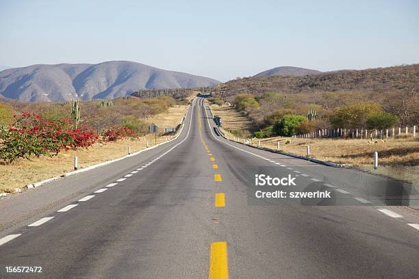 El Camino Está Vacío Foto de stock y más banco de imágenes de Aire libre - Aire libre, Amarillo - Color, Cactus