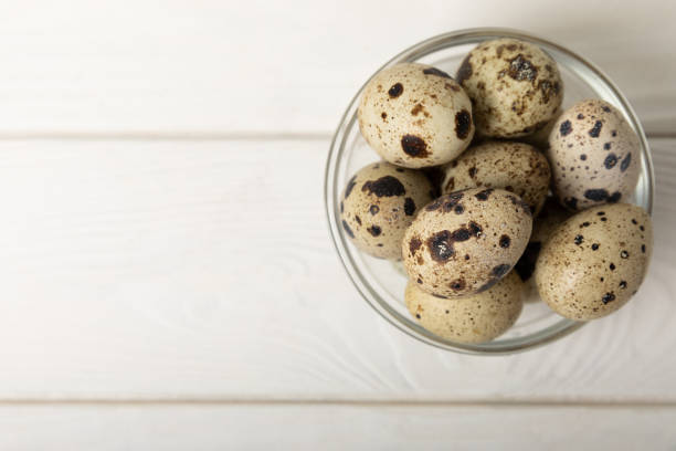 istock Quail eggs on a  texture background.Organic food. Place for text. Fresh quail eggs. 1565727529