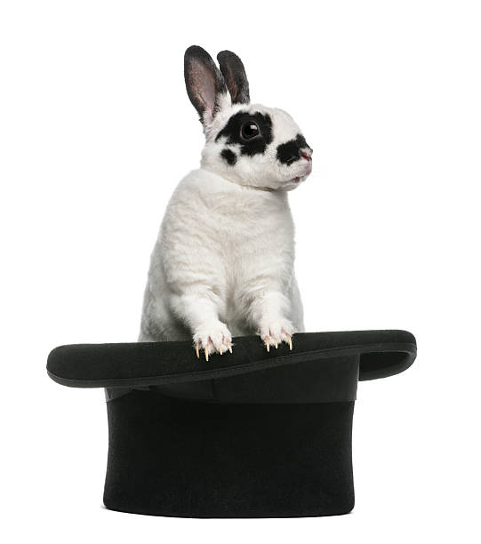 istock Dalmatian Rabbit standing in magician\\'s top hat, against white background 156575466