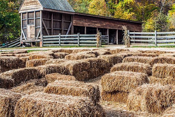 Hay Maze at Mount Vernon Farm stock photo