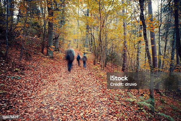 Herbst Wald Stockfoto und mehr Bilder von Bewegungsunschärfe - Bewegungsunschärfe, Menschengruppe, Wandern