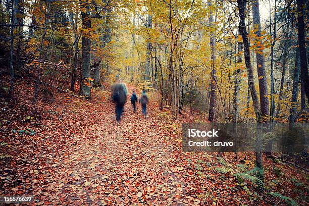 Foresta Dautunno - Fotografie stock e altre immagini di Escursionismo - Escursionismo, Gruppo di persone, Immagine mossa