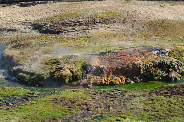 Landscape with a natural hot spring flowing river with mineral deposits in Iceland.