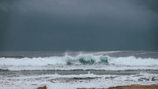 istock Cyclone Gabrielle,  Limeburners National Park 1565783248