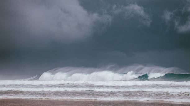 istock Cyclone Gabrielle,  Limeburners National Park 1565784084