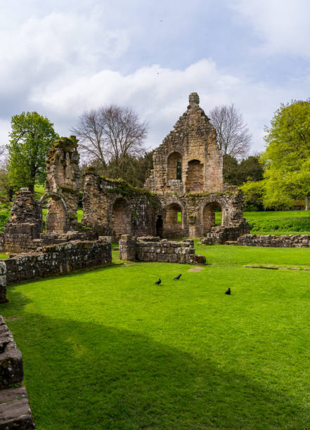 istock Springtime at Fountains Abbey ruins in Yorkshire, England 1565802401