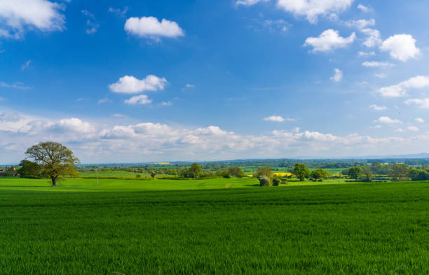 istock View across farmland and meadows in Shropshire 1565817841