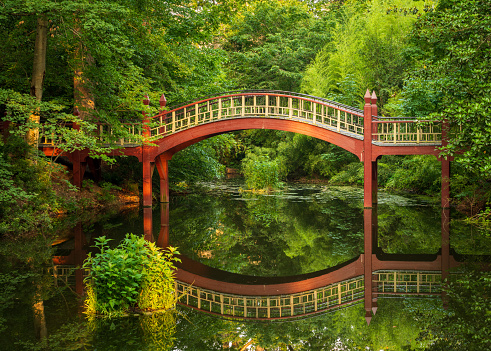 A wooden footbridge across a brook in the park