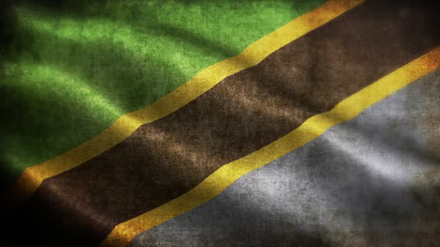 Closeup of grunge Tanzania waving flag loopable stock video