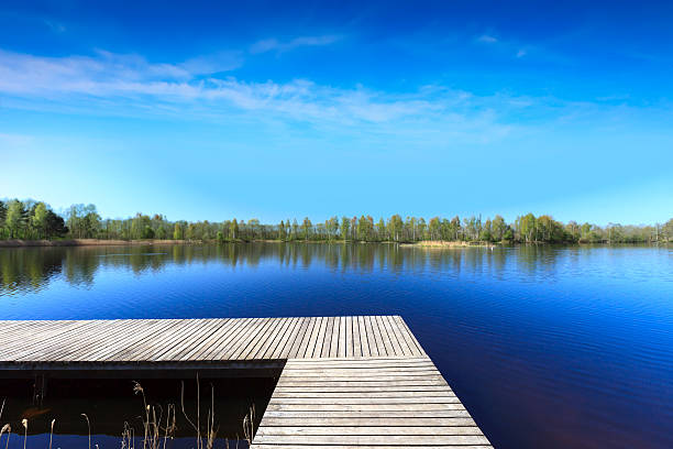 istock Wooden footbridge over the lake 156591482