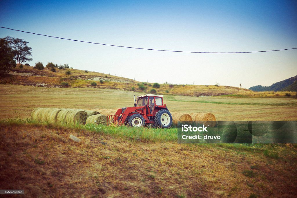 Trattore nel campo - Foto stock royalty-free di Agricoltura