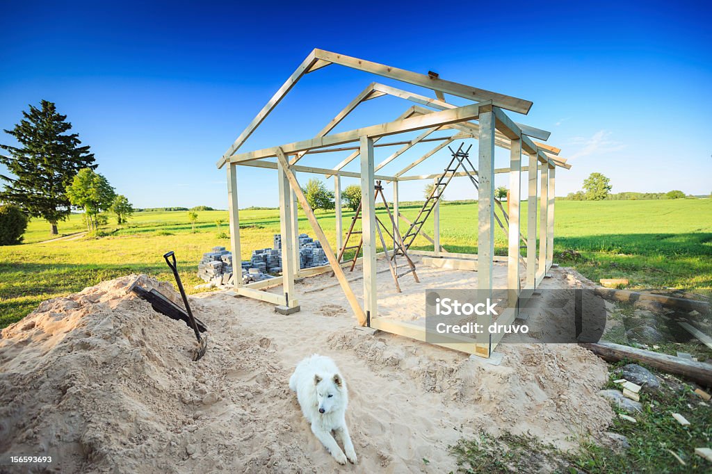 Garden shed de construção - Foto de stock de Cão royalty-free
