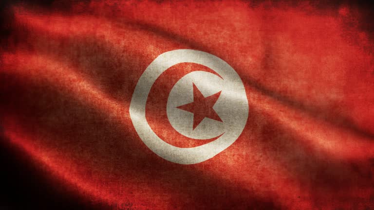 Closeup of grunge Tunisia waving flag loopable stock video