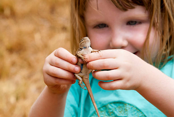 Happy Little Girl Holding A Lizard stock photo