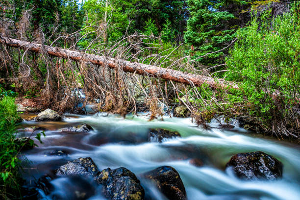 istock Flowing stream and lake in forrest 1565943710