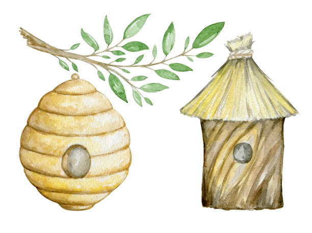 Bee house, tree branch. Watercolor set, elements, in cartoon style, on an isolated background. Bee house, tree branch. Watercolor set, elements, in cartoon style, on an isolated background. beehive hairstyle stock illustrations