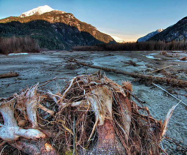 Riverside tree stump with mountains at sunrise stock photo