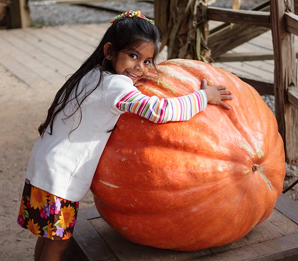 kleines mädchen mit einer sehr großen kürbis - pumpkin child little girls pumpkin patch stock-fotos und bilder