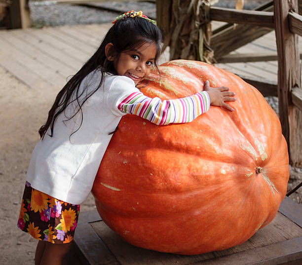 Little girl with a very large pumpkin