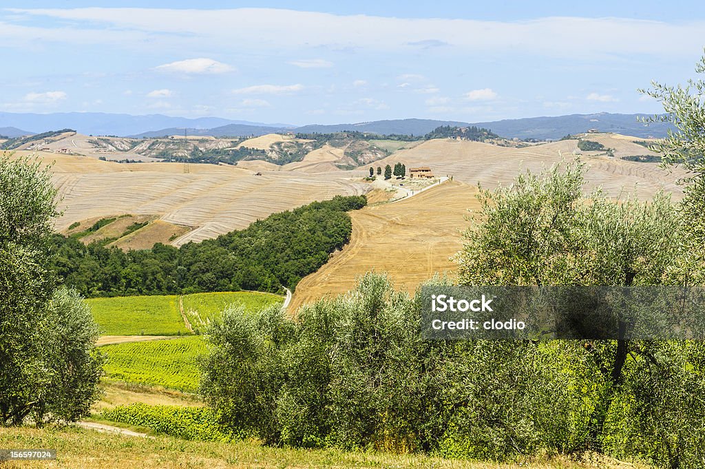 Farm in Val d'Orcia, Toscana) - Foto stock royalty-free di Agricoltura