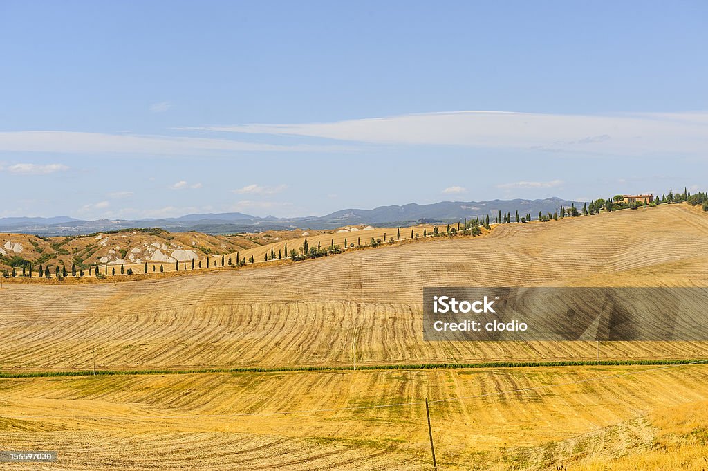 Fazenda em Val d'Orcia (Toscana) - Foto de stock de Agricultura royalty-free