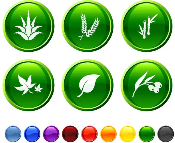 Vector illustration of Herbal Plant royalty free vector icon set