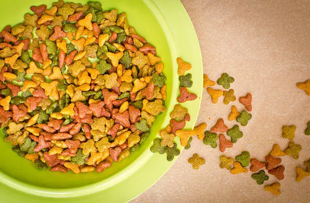 Top view pet food in and near the pet's bowl