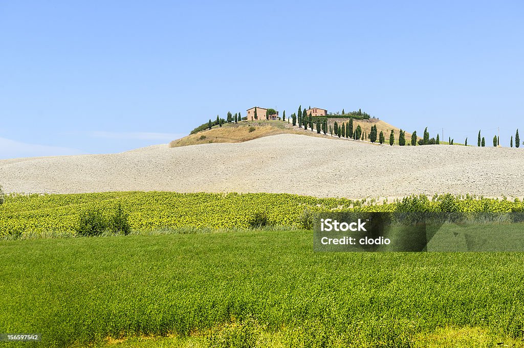 Farm in Val d'Orcia, Toscana) - Foto stock royalty-free di Agricoltura