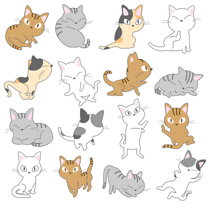 Assorted cats vector illustration set