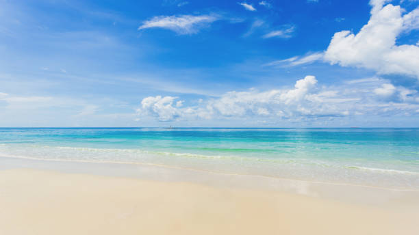 istock Beautiful blue Sky in summer Turquoise  sky vintage background nature. 1565987521