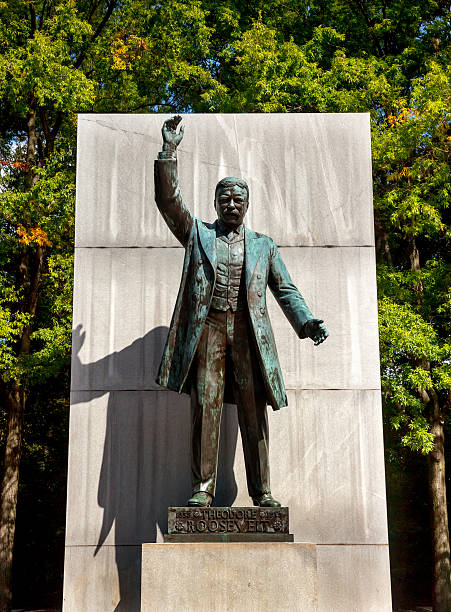 theodore roosevelt statua island washington dc - theodore roosevelt zdjęcia i obrazy z banku zdjęć