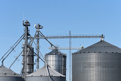 Group of steel grain bins on the farm.