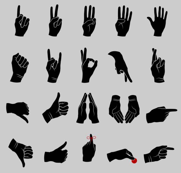 ilustrações, clipart, desenhos animados e ícones de mão humana gestos preto e branco coleção - two fingers