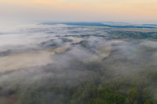 Morning fog aerial view