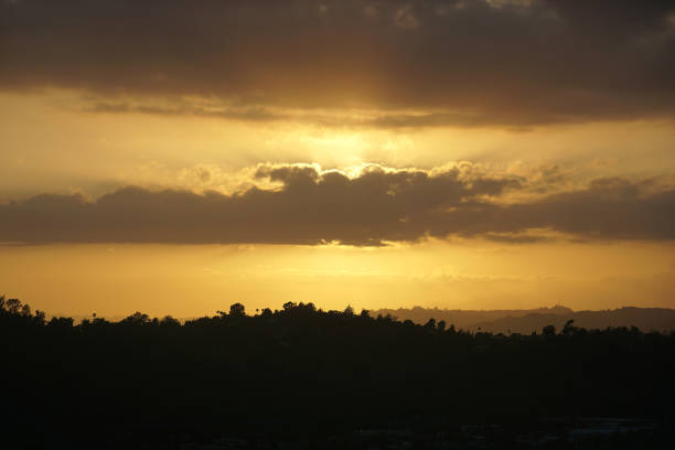A golden sunset over Elysian Park, a neighborhood in central Los Angeles, CA.