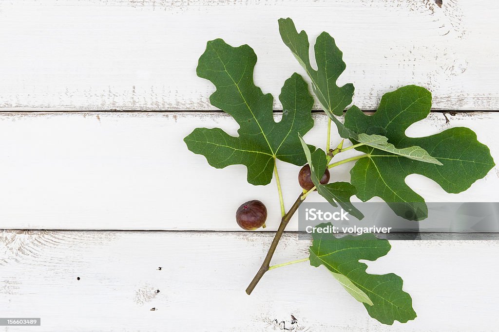 Figo um galho de árvore com frutas frescas maduras - Foto de stock de Alimentação Saudável royalty-free