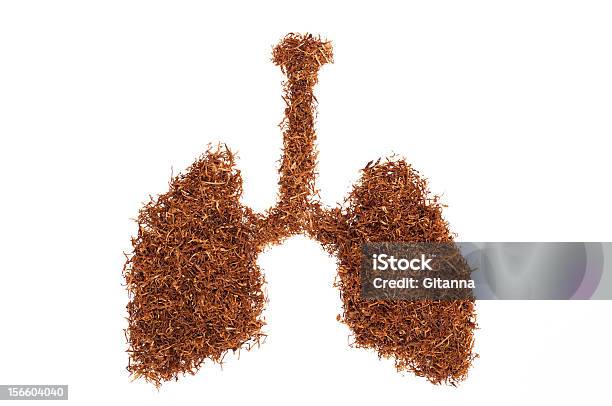 폐 양식을 Snuff 구성됩니다 갈색에 대한 스톡 사진 및 기타 이미지 - 갈색, 건조한, 담배 작물