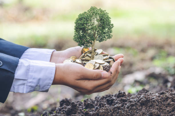 istock Tree are planted on coins in human hands grows on the pile. Saving money for the future. Investment Ideas and Business Growth. Green background 1566048340