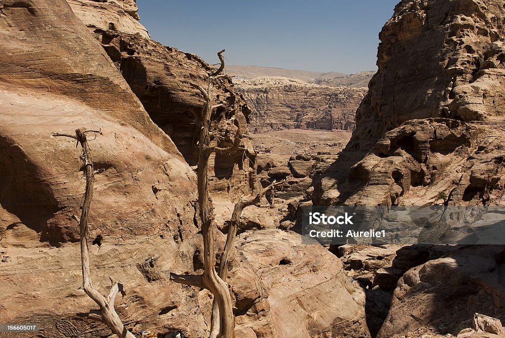 Petra - Photo de Antique libre de droits