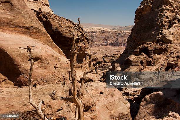 Petra - Fotografias de stock e mais imagens de Antiguidades - Antiguidades, Ao Ar Livre, Arcaico