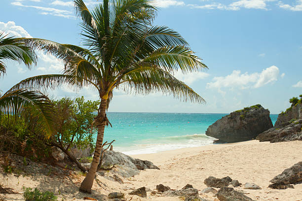 istock View of the caribbean beach. 156605827