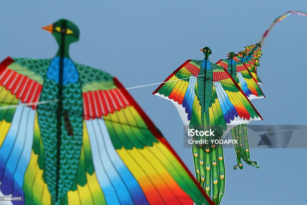 Uccello colorato aquilone - Foto stock royalty-free di Ambientazione esterna