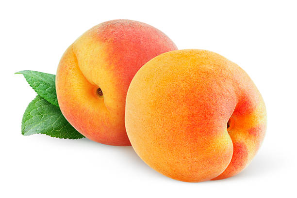 Two ripe peaches on a white background Vector illustration: apricot stock pictures, royalty-free photos & images
