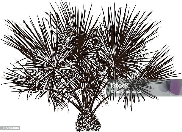 Vetores de Palm e mais imagens de Botânica - Assunto - Botânica - Assunto, Clip Art, Datileira