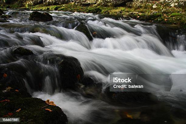 Herbstlichen Flow Stockfoto und mehr Bilder von Bach - Bach, Blatt - Pflanzenbestandteile, Fließen