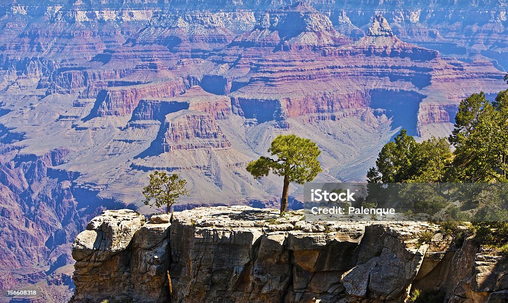 Beautiful Landscape of Grand Canyon Beautiful Landscape of Grand Canyon, Arizona, USA Arizona Stock Photo