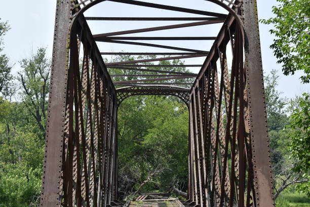istock Bridge to Fauna 1566086124